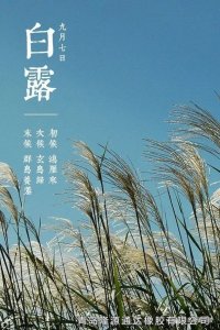 <b>露從今夜白，夜自此日涼！</b>